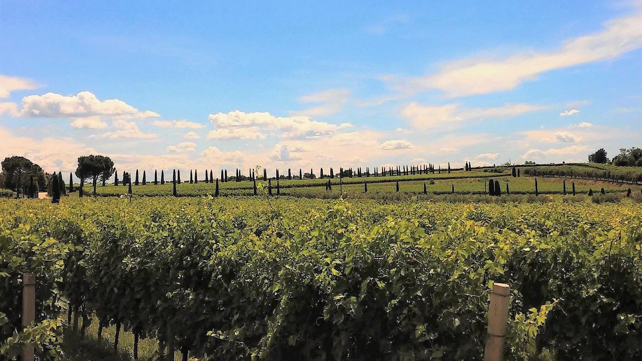 Borgo Romantico Green Relais Cavaion Veronese Dış mekan fotoğraf