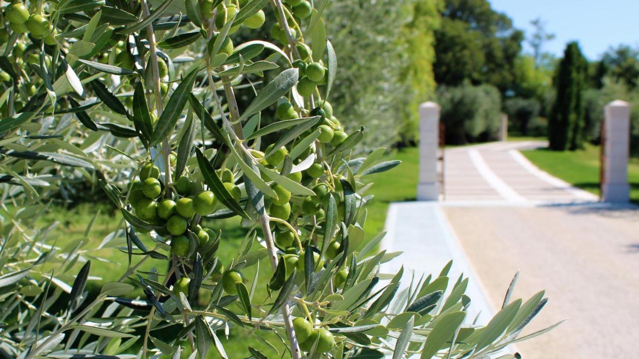Borgo Romantico Green Relais Cavaion Veronese Dış mekan fotoğraf